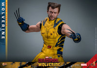Sideshow- “Deadpool & Wolverine” Hot Toys Wolverine (Deluxe Edition) MMS754 1/6th Scale Collectible Figure