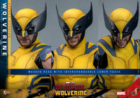 Sideshow- “Deadpool & Wolverine” Hot Toys Wolverine (Deluxe Edition) MMS754 1/6th Scale Collectible Figure