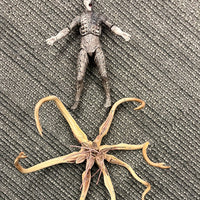 Neca Prometheus Trilobite Vs Battle Damaged Engineer (Toys R Us Exclusive)