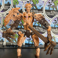 Transformers Kingdom Paleotrex Fossilizer