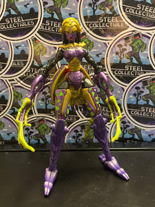 Transformers Beast Machines blackarachnia