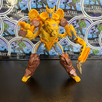 Transformers Rise of the Beasts Mainline Deluxe Maximal Cheetor