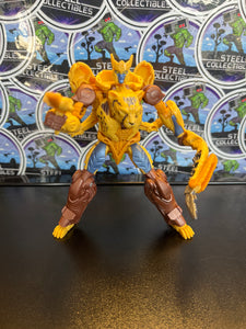 Transformers Rise of the Beasts Mainline Deluxe Maximal Cheetor
