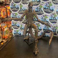 NECA- “Alien: Resurrection” Xenomorph Warrior 7” Poseable Action Figure
