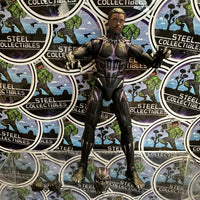 Marvel Legends- “Black Panther” T’Challa (Black Panther) 6” Poseable Action Figure
