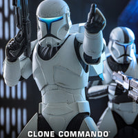 Star Wars Hot Toys - TMS131 Clone Commando 1/6th Scale Collectible Figure (New)