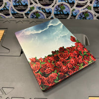 PS4- “Borderlands 3” Diamond Loot Chest Collector’s Edition [CIB]
