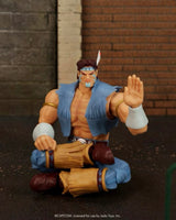 Jada Toys- “Ultra Street Fighter 2: The Final Challengers” T. Hawk Poseable Action Figure [New/Sealed]
