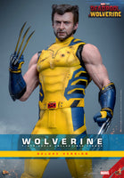Sideshow- “Deadpool & Wolverine” Hot Toys Wolverine (Deluxe Edition) MMS754 1/6th Scale Collectible Figure
