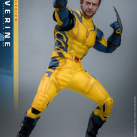 Sideshow- “Deadpool & Wolverine” Hot Toys Wolverine (Deluxe Edition) MMS754 1/6th Scale Collectible Figure