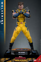 Sideshow- “Deadpool & Wolverine” Hot Toys Wolverine (Deluxe Edition) MMS754 1/6th Scale Collectible Figure
