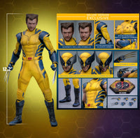Sideshow- “Deadpool & Wolverine” Hot Toys Wolverine (Deluxe Edition) MMS754 1/6th Scale Collectible Figure
