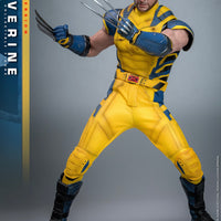 Sideshow- “Deadpool & Wolverine” Hot Toys Wolverine (Deluxe Edition) MMS754 1/6th Scale Collectible Figure