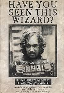 Poster - Have you seen this wizard? (Harry Potter)