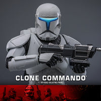 Star Wars Hot Toys - TMS131 Clone Commando 1/6th Scale Collectible Figure (New)