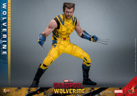 Sideshow- “Deadpool & Wolverine” Hot Toys Wolverine (Deluxe Edition) MMS754 1/6th Scale Collectible Figure
