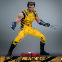 Sideshow- “Deadpool & Wolverine” Hot Toys Wolverine (Deluxe Edition) MMS754 1/6th Scale Collectible Figure