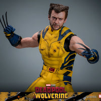 Sideshow- “Deadpool & Wolverine” Hot Toys Wolverine (Deluxe Edition) MMS754 1/6th Scale Collectible Figure