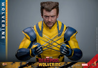 Sideshow- “Deadpool & Wolverine” Hot Toys Wolverine (Deluxe Edition) MMS754 1/6th Scale Collectible Figure
