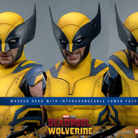Sideshow- “Deadpool & Wolverine” Hot Toys Wolverine (Deluxe Edition) MMS754 1/6th Scale Collectible Figure