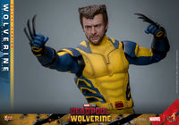 Sideshow- “Deadpool & Wolverine” Hot Toys Wolverine (Deluxe Edition) MMS754 1/6th Scale Collectible Figure
