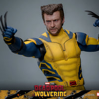 Sideshow- “Deadpool & Wolverine” Hot Toys Wolverine (Deluxe Edition) MMS754 1/6th Scale Collectible Figure