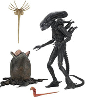 NECA- “Alien: 40th Anniversary” Bio Chap (Ultimate Edition) 7" Poseable Action Figure (New)
