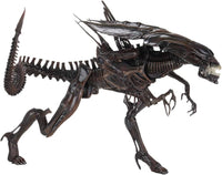 NECA- “Alien: Resurrection” Alien Queen Mother Deluxe Action Figure (New/Sealed)
