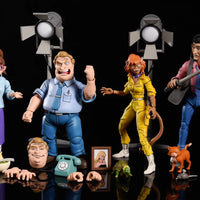 NECA TMNT April O’Neil in The Catwoman from Channel 6 Figure Set