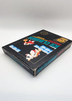NES - ICE CLIMBER (5-SCREW W/ HANG TAB) [CIB]
