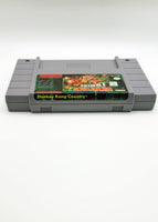 SNES - DONKEY KONG COUNTRY [CIB]
