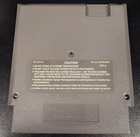 NES - PRINCE OF PERSIA [CART ONLY]
