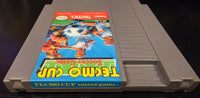 NES - TECMO CUP SOCCER GAME [CART ONLY]
