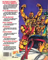 GAME GUIDES - STREET FIGHTER 2 STRATEGY GUIDE (GAMEPRO)

