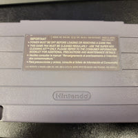 SNES - The Adventures of Batman & Robin [CART ONLY]