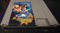 NES - BACK TO THE FUTURE 2 AND 3 [CART ONLY]

