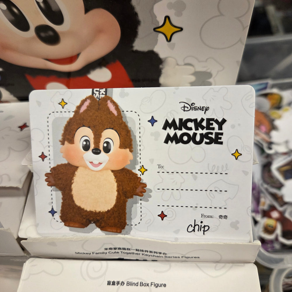 OFFICIAL/AUTHENTIC MICKEY FAMILY BY POPMART - CHIP CONFIRMED