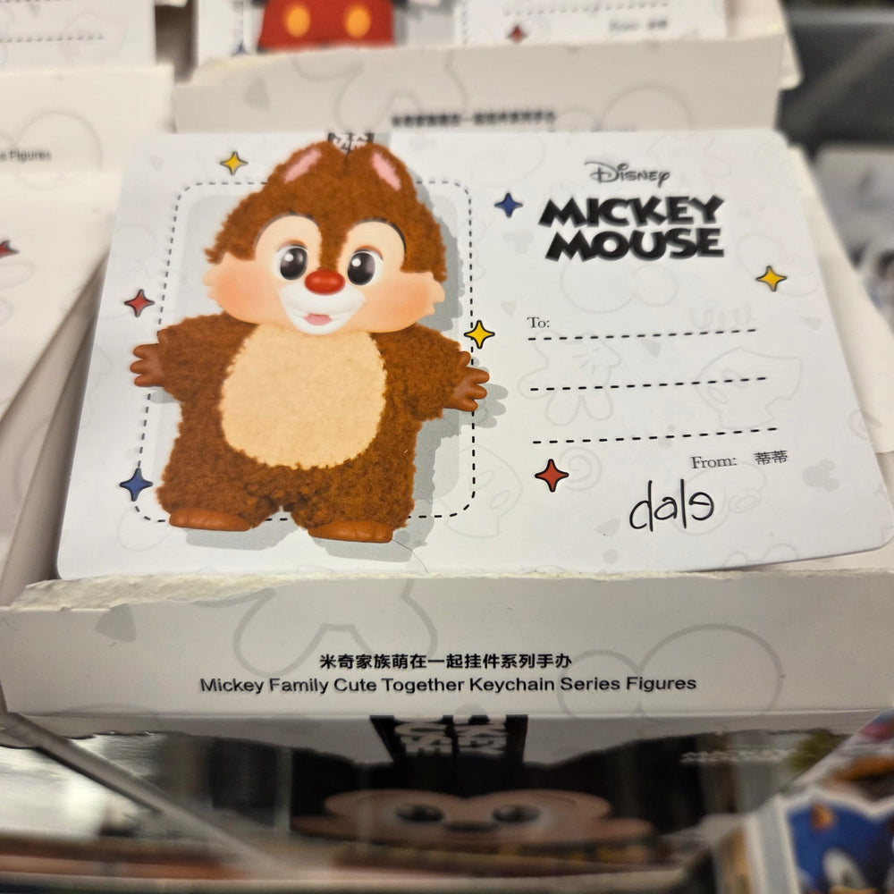 OFFICIAL/AUTHENTIC MICKEY FAMILY BY POPMART - DALE CONFIRMED