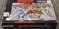 SNES - WEAPONLORD [CIB]
