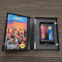 GENESIS - DOUBLE DRAGON 3 THE ARCADE GAME [CIB]

