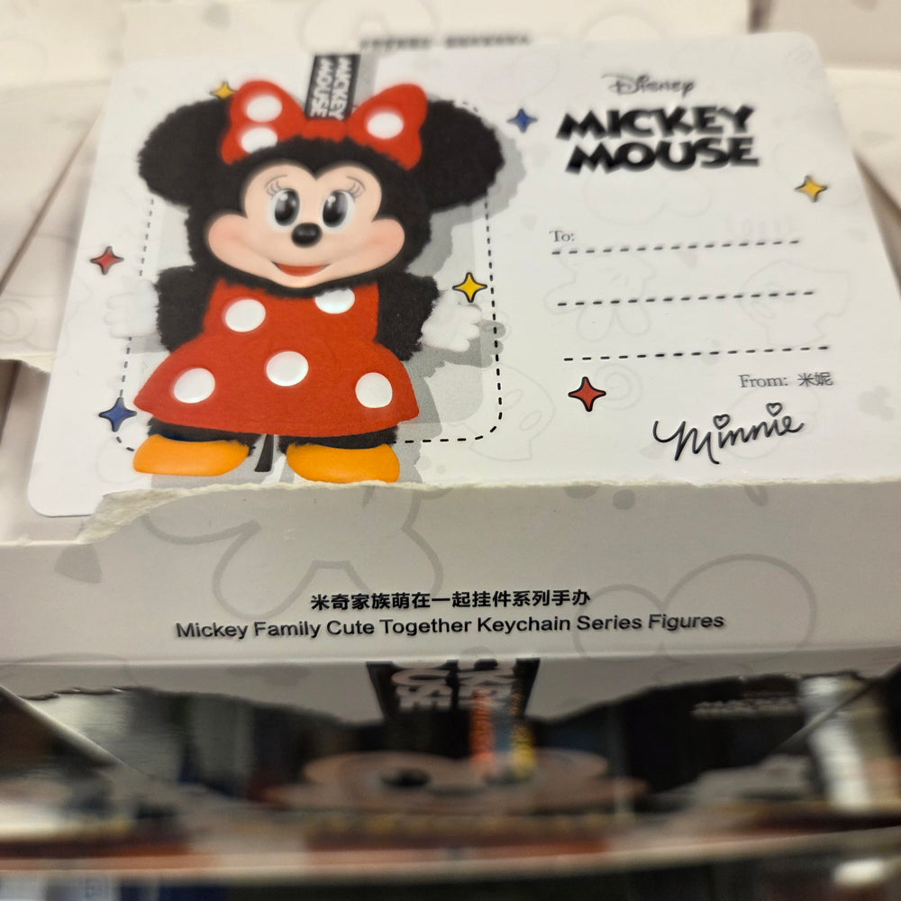 OFFICIAL/AUTHENTIC MICKEY FAMILY BY POPMART - MINNIE CONFIRMED