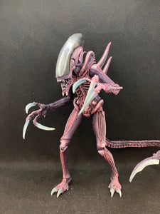 Neca Razor claw alien (Arcade colors)