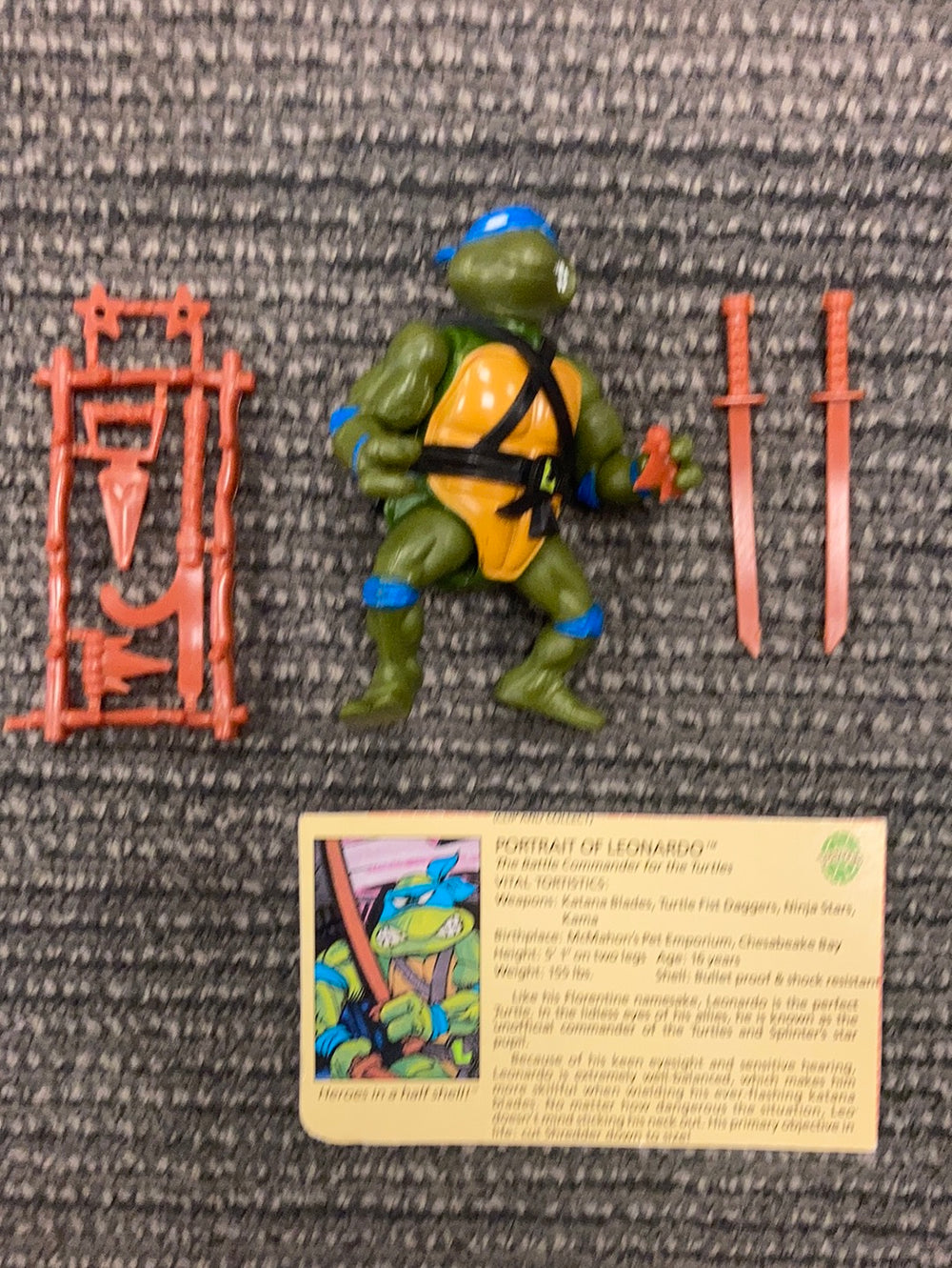 TMNT 1988 Leonardo (Hard head)